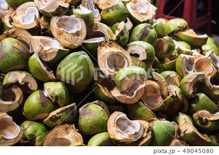 natural agricultural waste, chopped coconut 49045080
