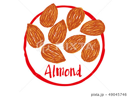 Almond 筆文字のイラスト素材