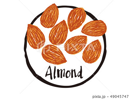 Almond 筆文字のイラスト素材