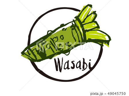 wasabi　わさび　水彩画 49045750