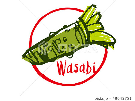 wasabi　わさび　水彩画 49045751
