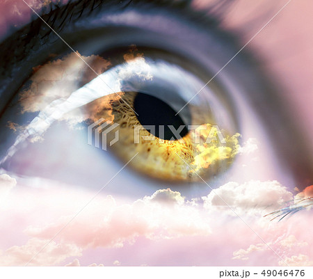 image image 49046476