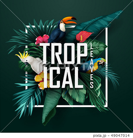 Birds collection and tropical plants background 49047014