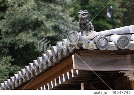 浄瑠璃寺本堂の瓦屋根 49047746