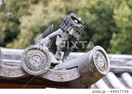 浄瑠璃寺本堂の留蓋瓦 49047748