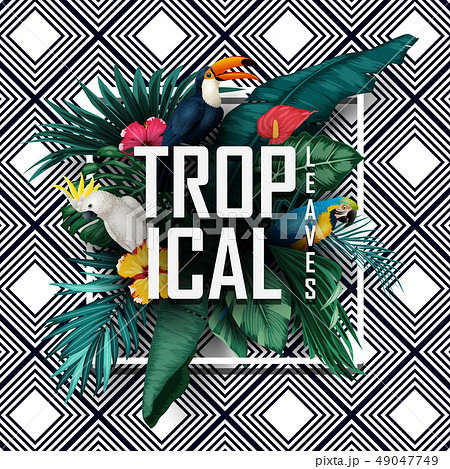 Birds collection with tropical plants on striped b 49047749