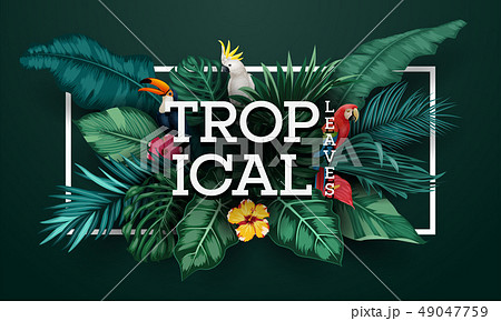 Birds collection and tropical plants background Birds collection and tropical plants background 49047759