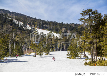 長野県　開田高原マイアスキー場 49048289