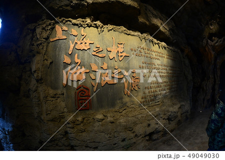 広富林 広富林 49049030