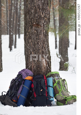 Three backpacks near pine tree on snow at winter 49051597