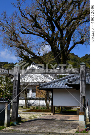 やきものの町　有田の町並み（口屋番所跡、大公孫樹） 49052096
