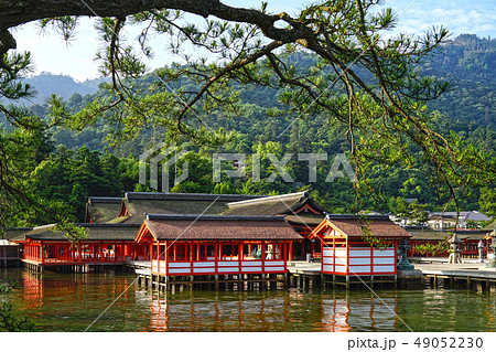 海に浮かぶ厳島神社 49052230