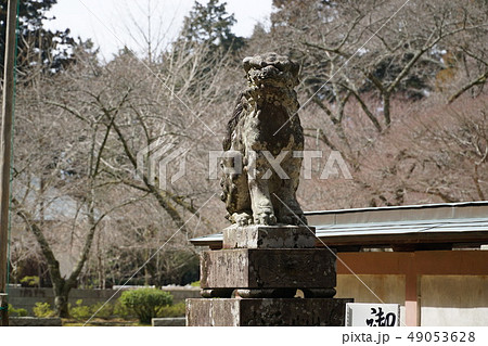 【四国三十六不動霊場】第四番　箸蔵寺本殿前の狛犬吽形　徳島県三好市 49053628
