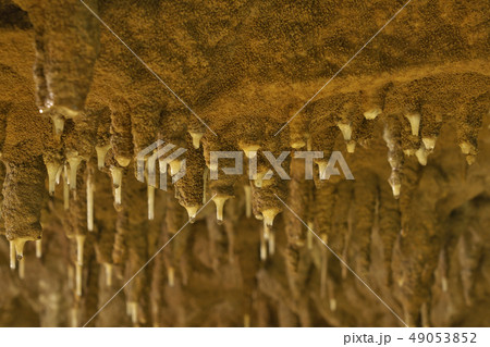 【おきなわワールド 玉泉洞】 沖縄県南城市玉城前川１３３６ 49053852