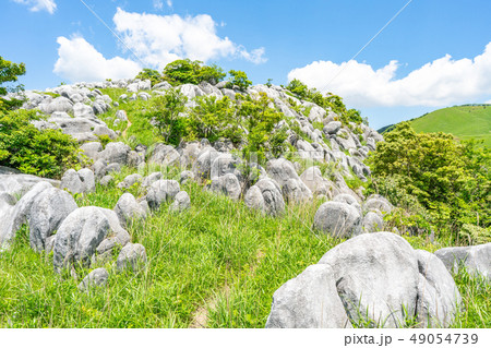平尾台の風景 平尾台の風景 49054739