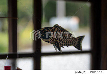 民芸　鯉 49055446