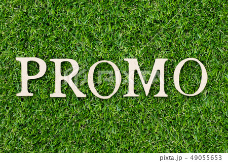 Wood alphabet letter in word promo on green grass Wood alphabet letter in word promo on green grass 49055653