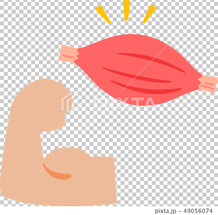 肌肉和瘀傷 49056074