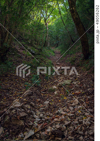 木陰の山道 49056262