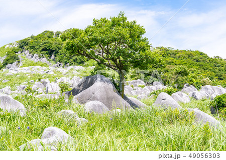 平尾台の風景 49056303
