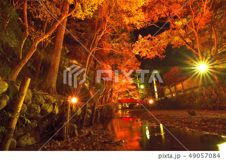 川と紅葉輝く光 49057084
