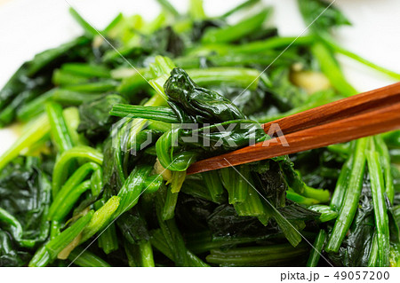 ほうれん草 49057200