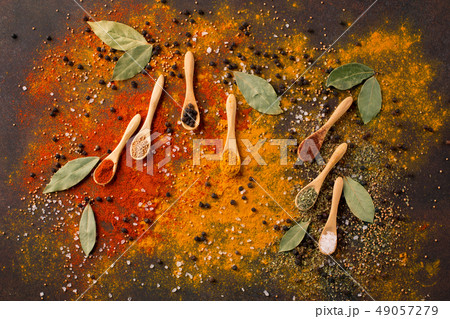 Spices and herbs on dark background 49057279