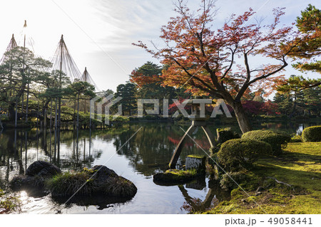 金沢観光 秋の兼六園 徽軫灯籠と雪吊り 金沢観光 秋の兼六園 徽軫灯籠と雪吊り 49058441