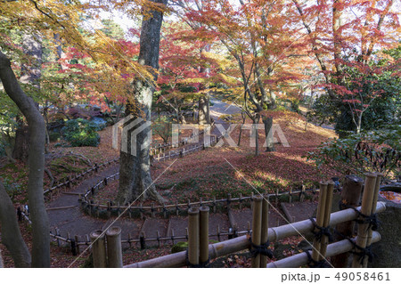 金沢観光 秋の兼六園 山崎山 金沢観光 秋の兼六園 山崎山 49058461