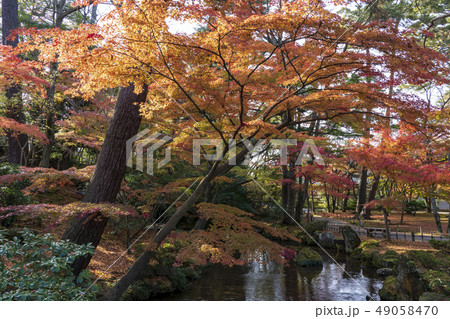 金沢観光 秋の兼六園 曲水の写真素材