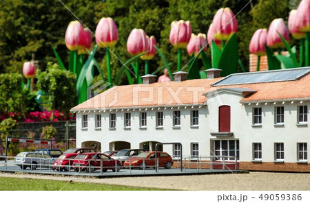 Huge tulips behind miniature house Huge tulips behind miniature house 49059386