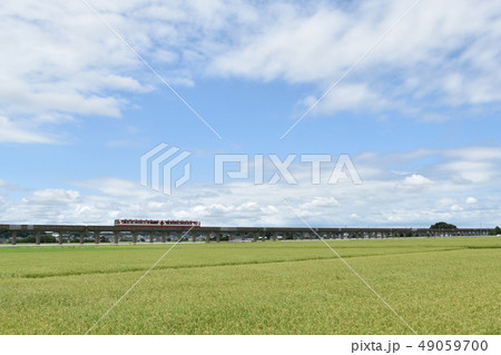 田園風景 田園風景 49059700