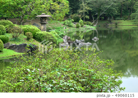 六義園 日本庭園 六義園 日本庭園 49060115