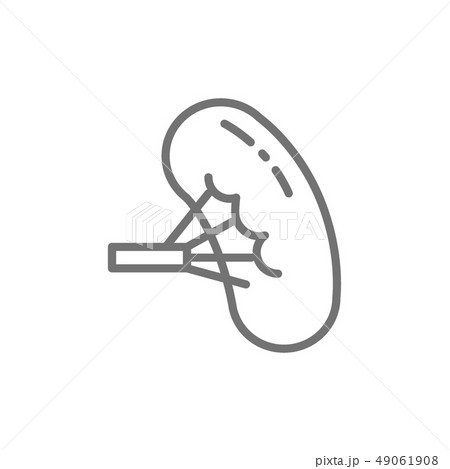 Spleen, human organ line icon. 49061908