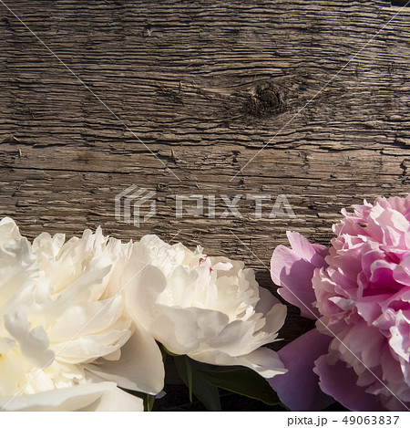 Peonies flowers on a wooden background Peonies flowers on a wooden background 49063837