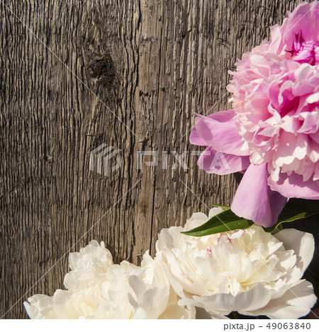 Peonies flowers  on a wooden background 49063840