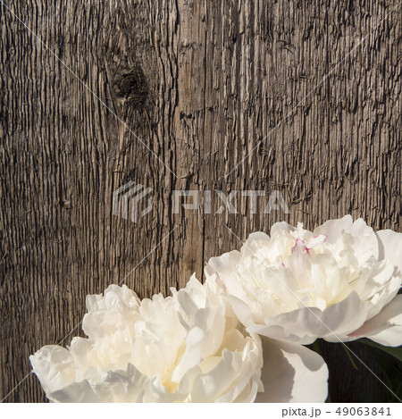 Peonies flowers on a wooden background Peonies flowers on a wooden background 49063841