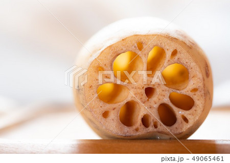 れんこん れんこん 49065461