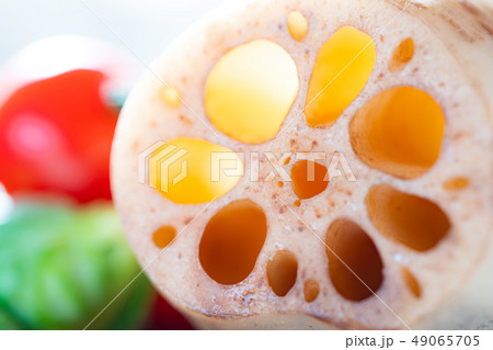 レンコン 49065705