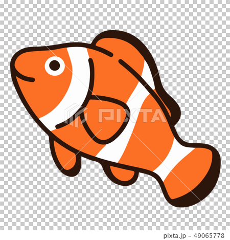 シンプルで可愛いクマノミのイラスト 主線ありのイラスト素材