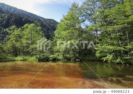 上高地の夏景色 上高地の夏景色 49066223