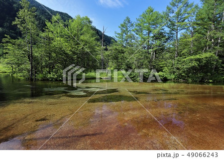 上高地の夏景色 上高地の夏景色 49066243