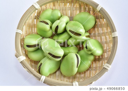 そら豆・一寸豆 そら豆・一寸豆 49066850