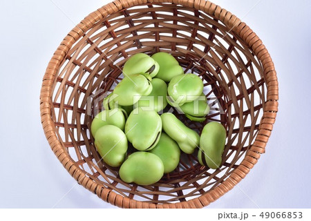 そら豆・一寸豆 そら豆・一寸豆 49066853