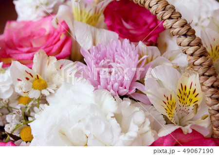 バラ バラの花 花 49067190