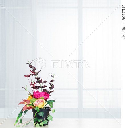 インテリア 花 植木鉢 49067516