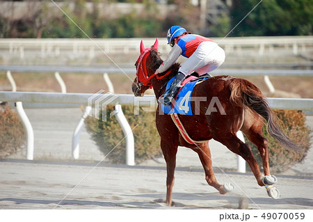 競馬 49070059
