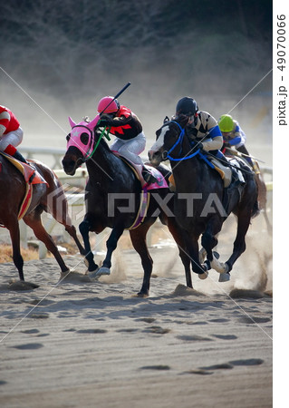 競馬 49070066