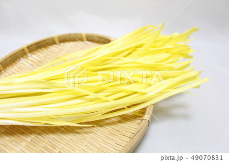 黄ニラ 49070831