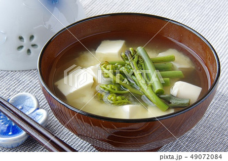 蕨と豆腐のお味噌汁　蕨の味噌汁　わらび　味噌汁 49072084